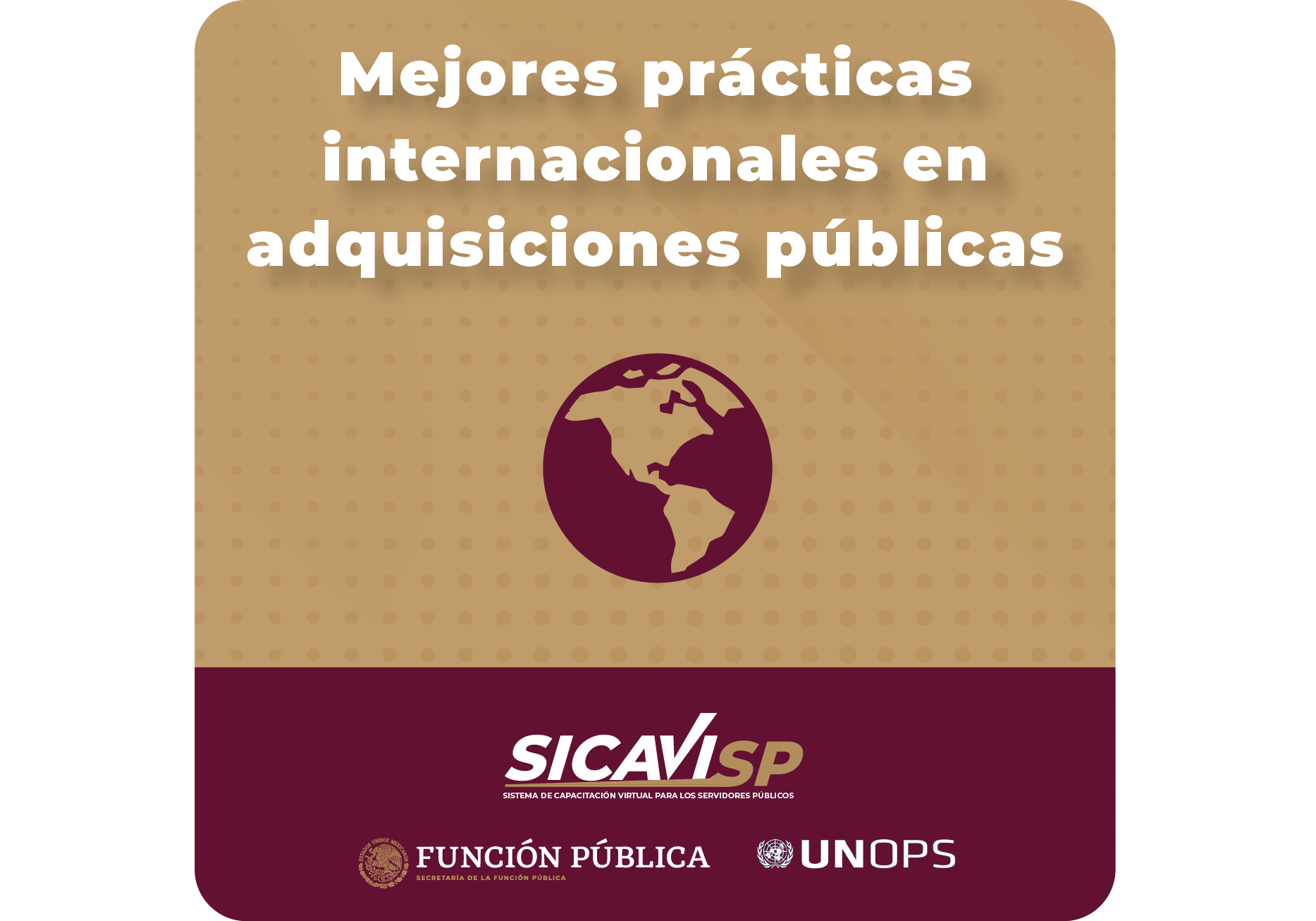 Mejores prácticas internacionales en adquisiciones públicas