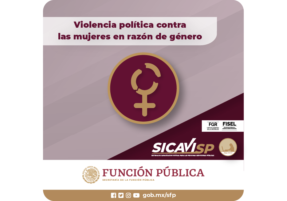 Violencia Política contra las Mujeres en Razón de Género